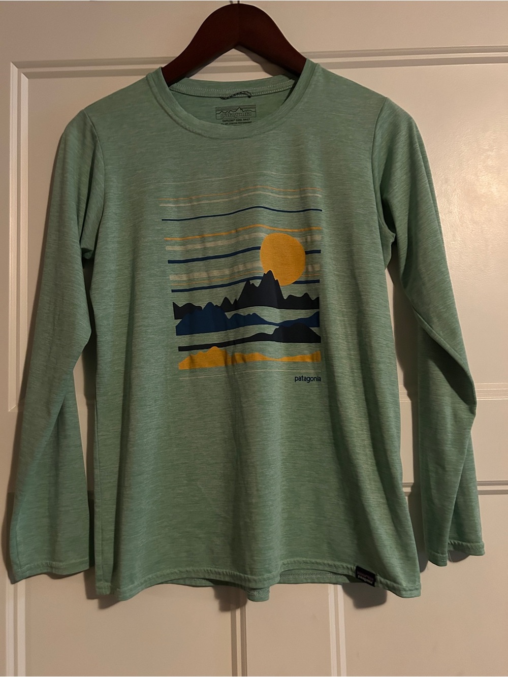 Patagonia Kids Long-Sleeve Tee in Mint Green with Navy & Yellow Graphic